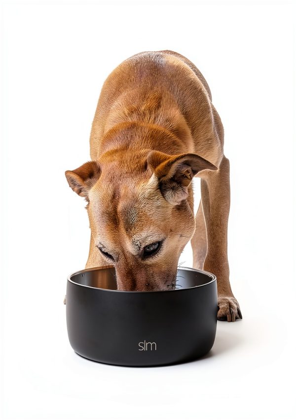 Dog Bowl Stainless Steel Double Walled Pet Supplies-4