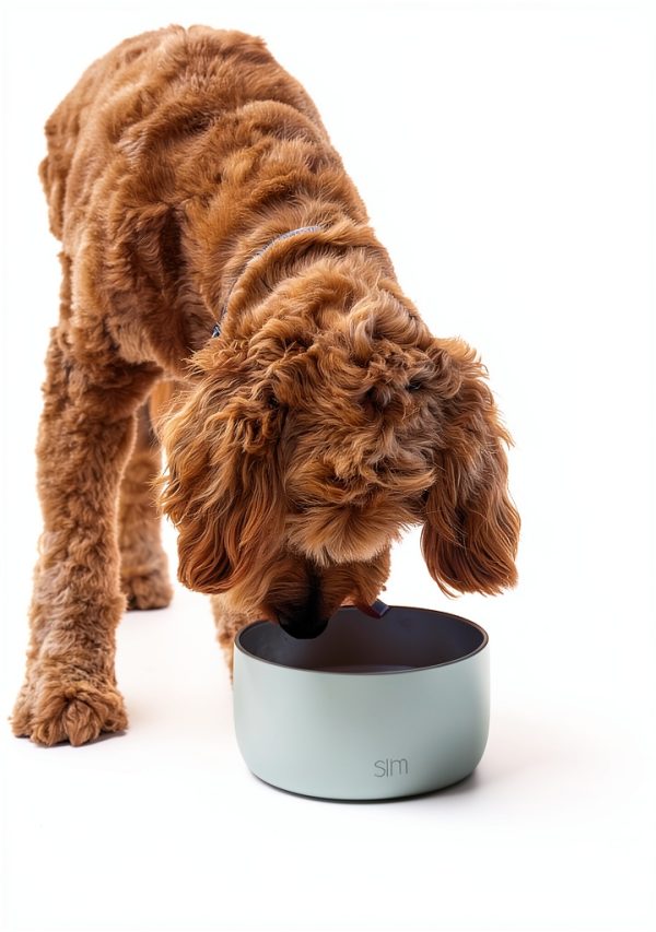 Dog Bowl Stainless Steel Double Walled Pet Supplies-5