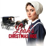 Amish Christmas Romance eBook Sweet Book Hub Faiths Creek-0