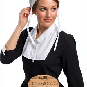 PureRead Amish Fiction Kindle Book Religious Short Stories-0